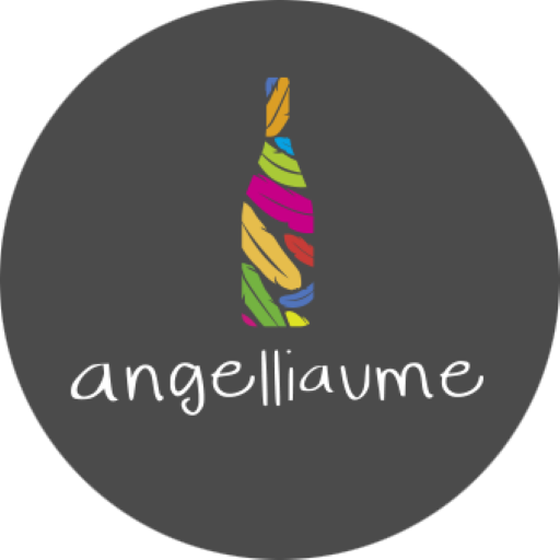 Logo de notre partenaire Domaine Angelliaume • Tours FC
